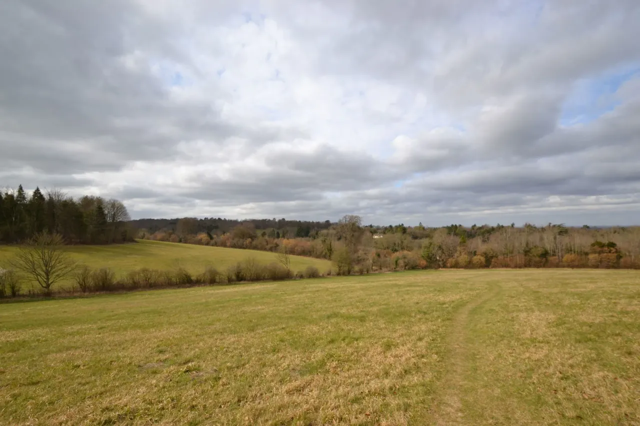 london lane , east horsley, Surrey, K..., photo 8