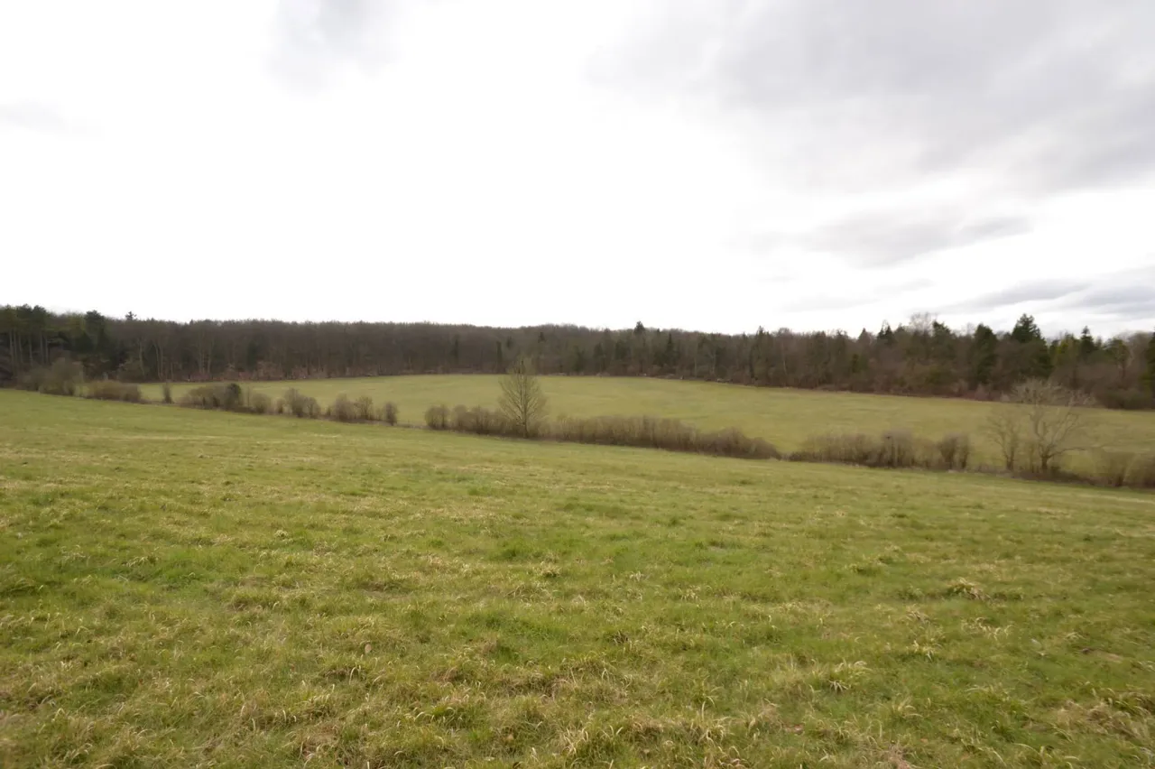 london lane , east horsley, Surrey, K..., photo 5