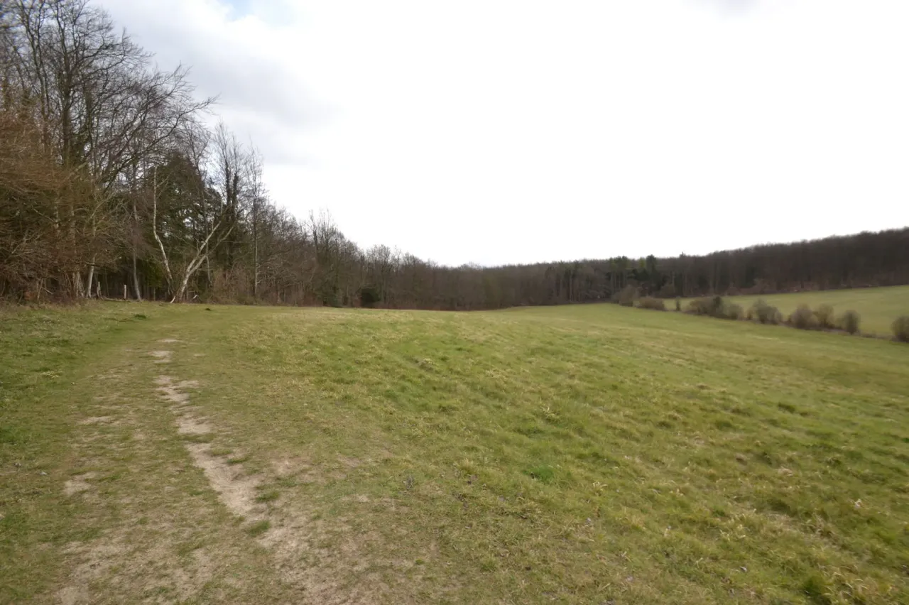 london lane , east horsley, Surrey, K..., photo 3