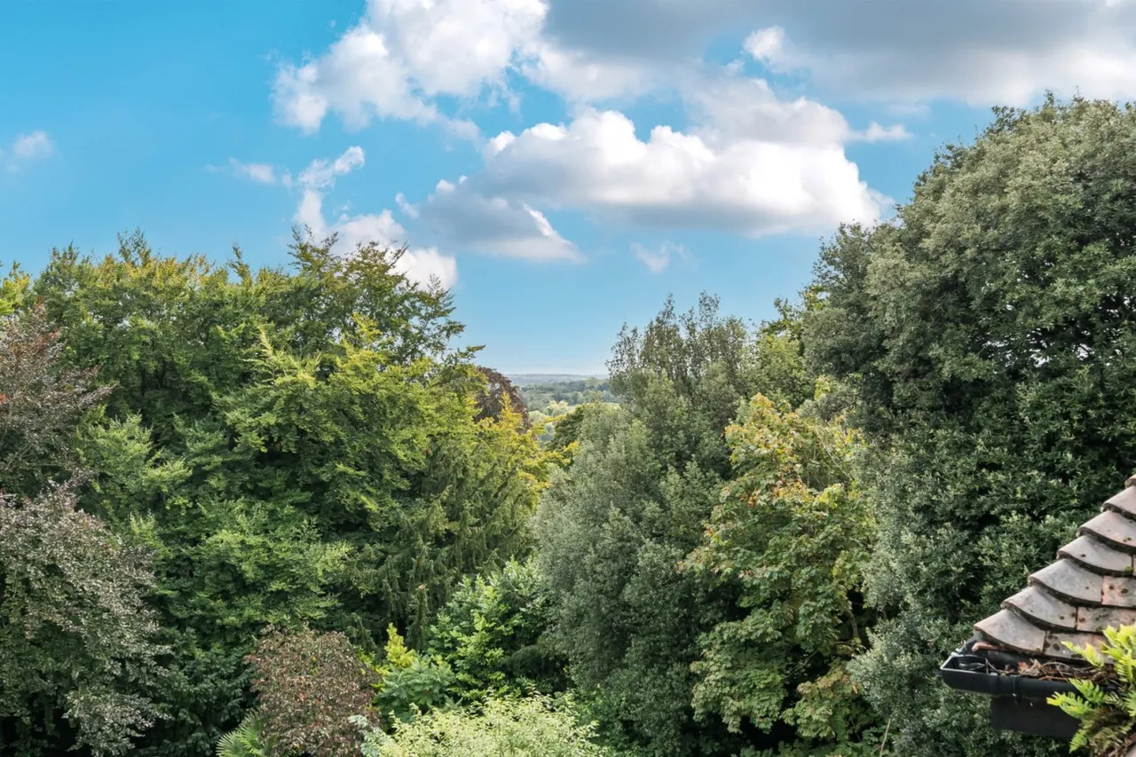 Kings Crescent, Winchester, SO22, photo 25