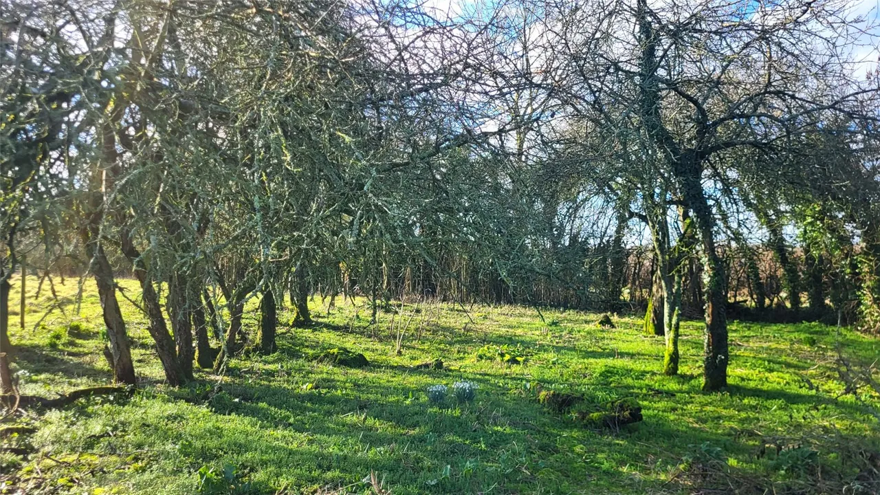 Woodcutts, Salisbury, Dorset, SP5 5RT, photo 21