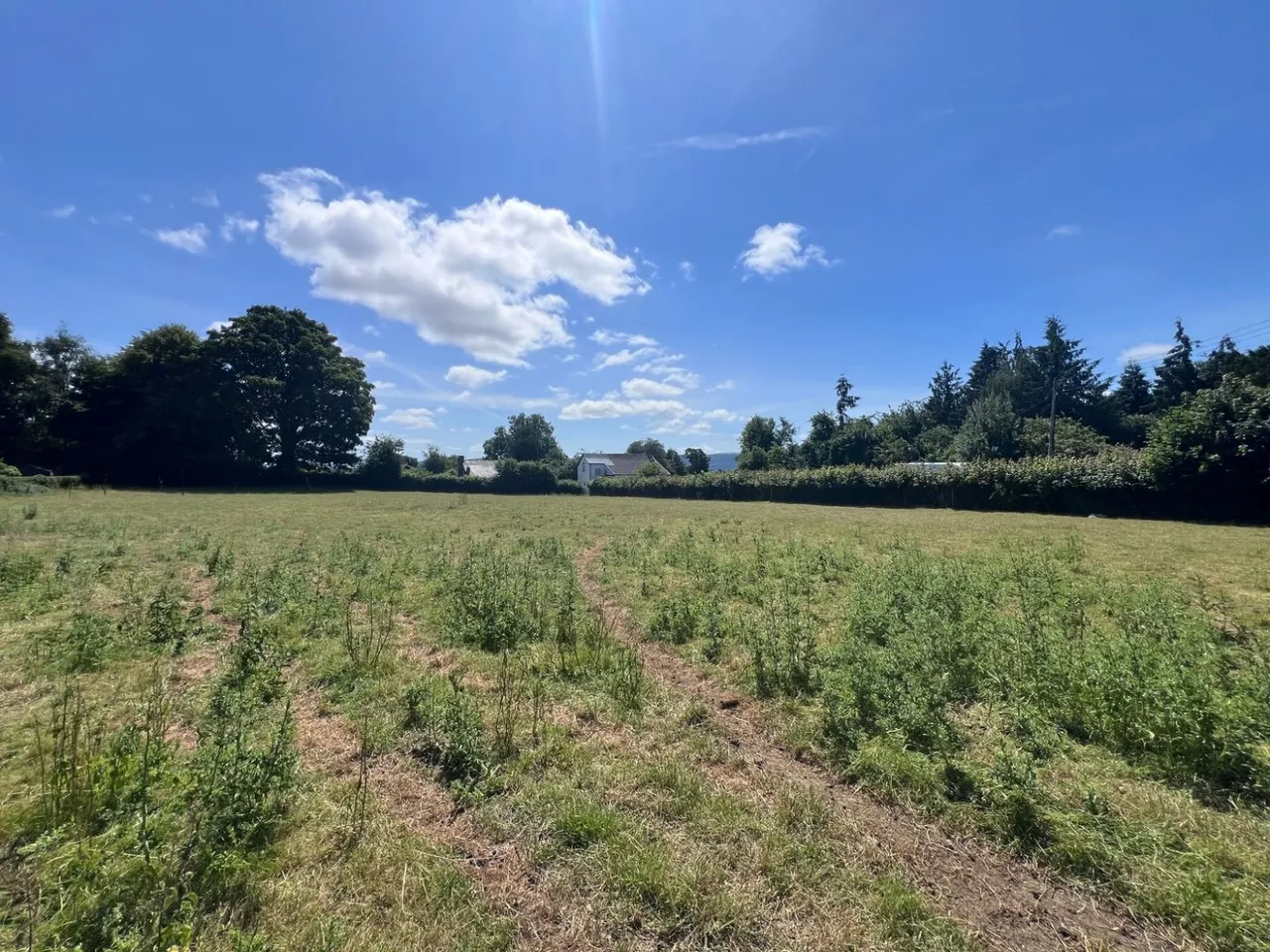 Almeley, Hereford, photo 42