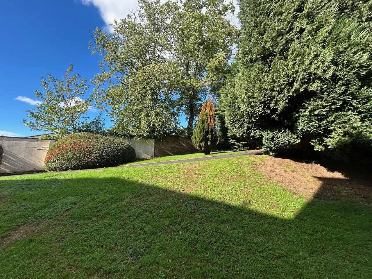 Moncrieffe Close, Dudley, DY2, photo 14