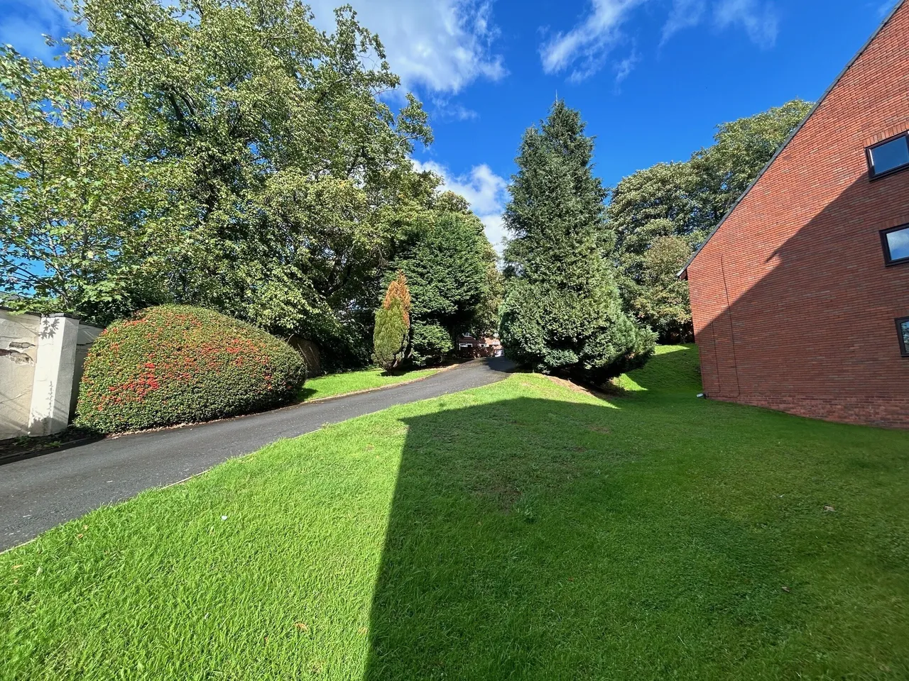 Moncrieffe Close, Dudley, DY2, photo 12