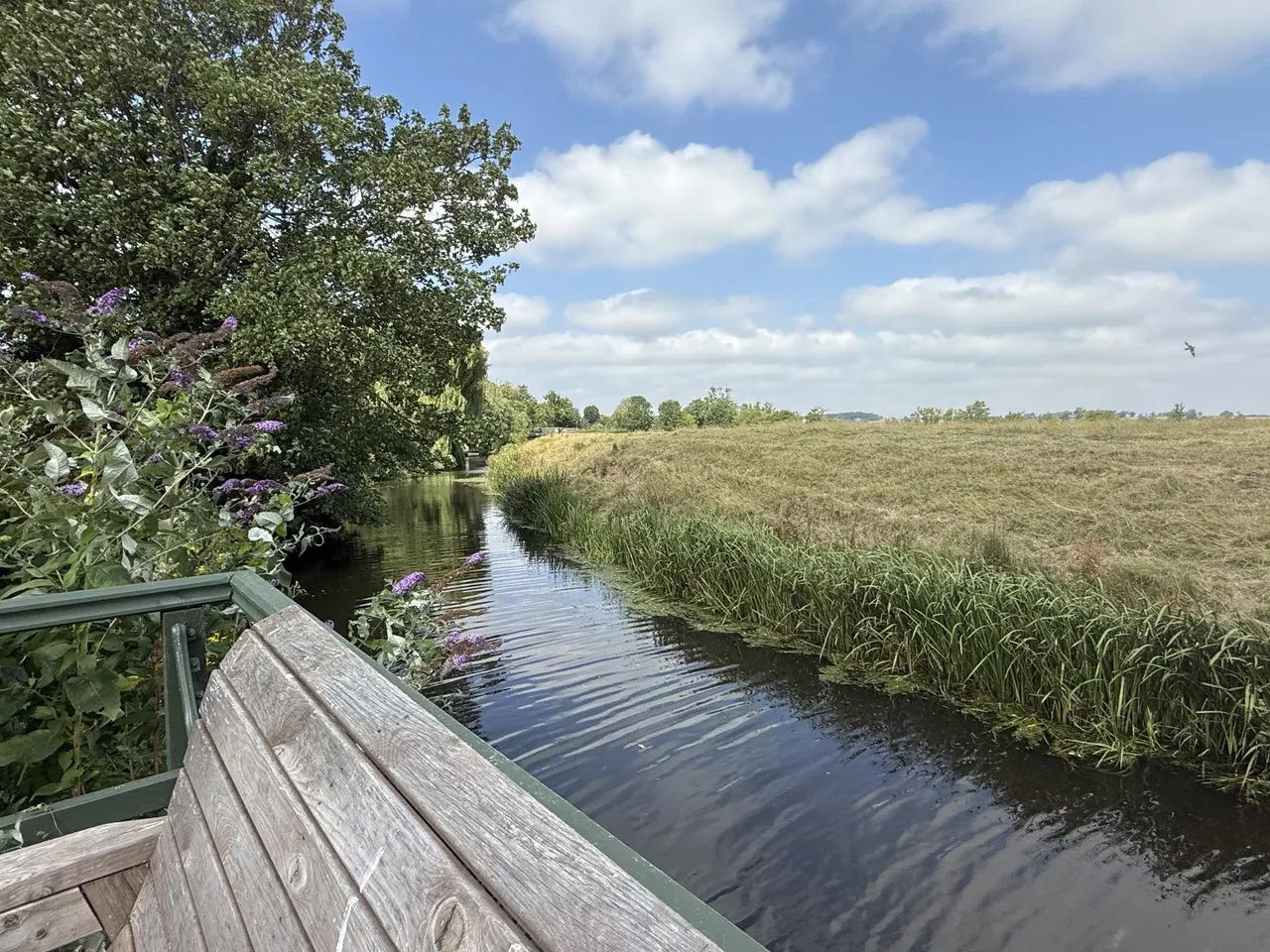 Sea Road, Winchelsea, TN36, photo 24