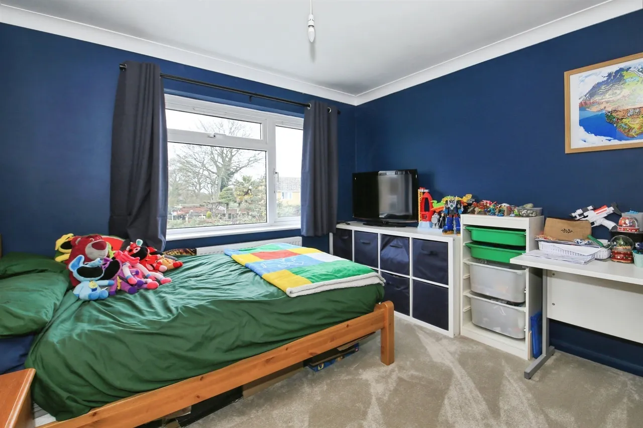 Shaw Drive, March, photo 12