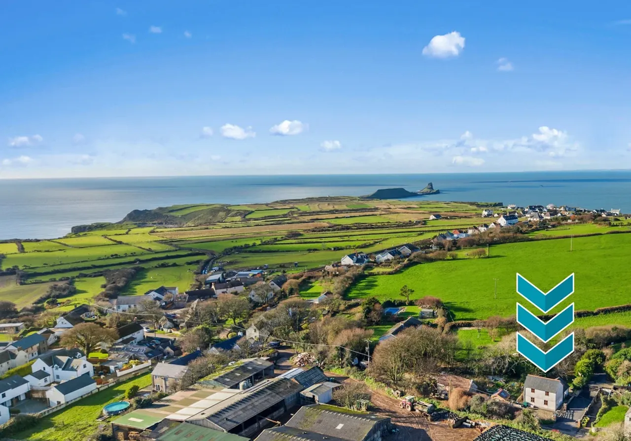Orchard Cottage, Rhossili, Gower, SA3 1PJ, photo 2