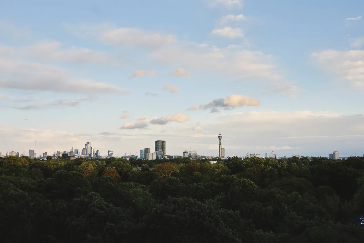 Avenue Road, St John's Wood, NW8, photo 14