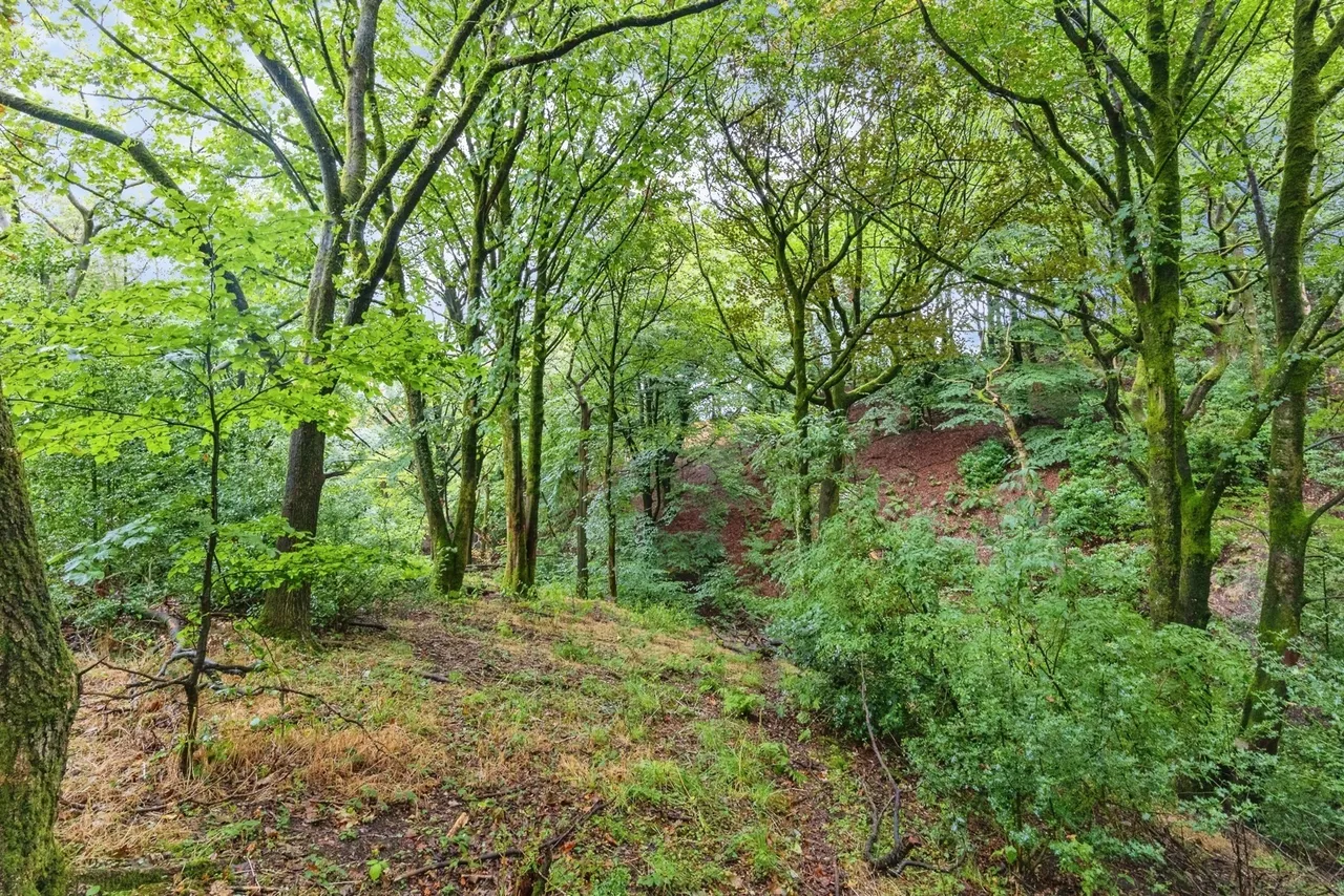 Hobson Moor Road, Mottram, Hyde, Greater Manchester, SK14, photo 53