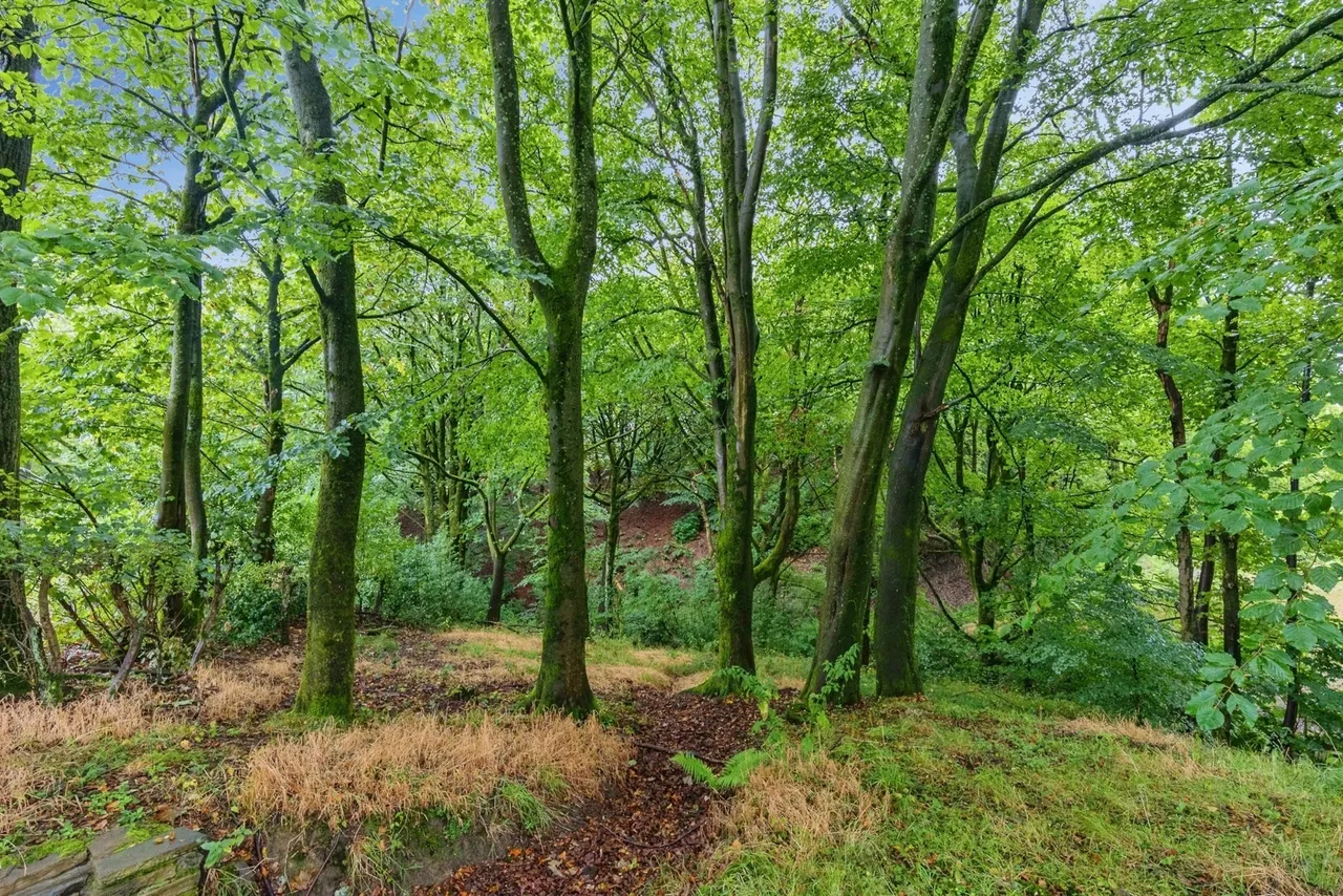 Hobson Moor Road, Mottram, Hyde, Greater Manchester, SK14, photo 51