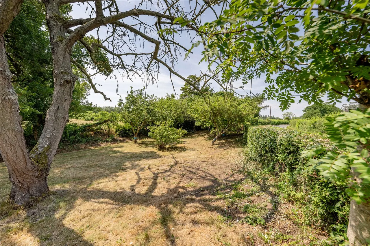 The Green, Saxlingham Nethergate, NR15, photo 40