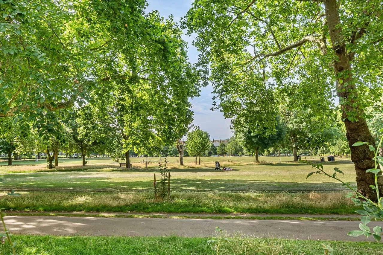 Downs Road, London, E5, photo 17