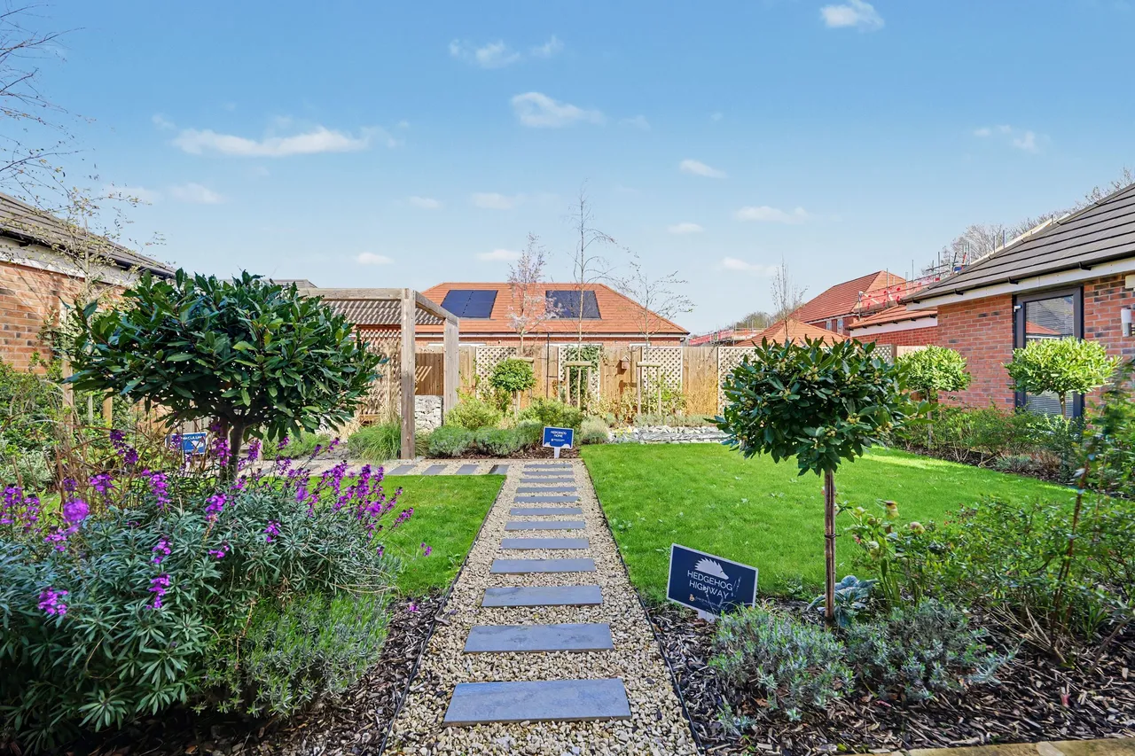 Wigston Meadows North, Newton Lane, LE18, photo 56