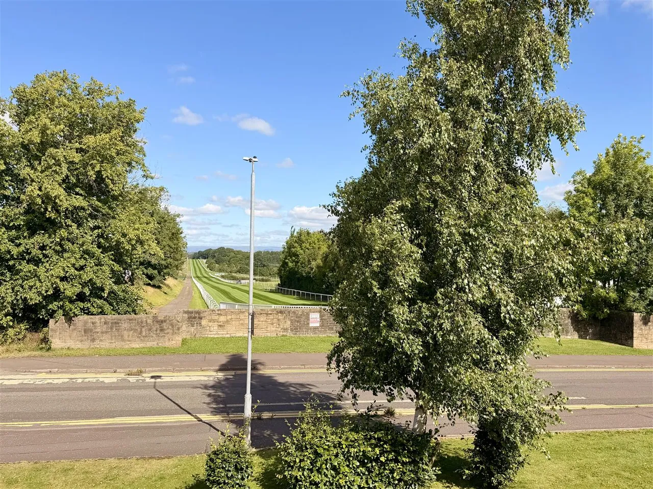 Tom Mccabe Gardens, Hamilton, Hamilton, ML3 6LW, photo 11