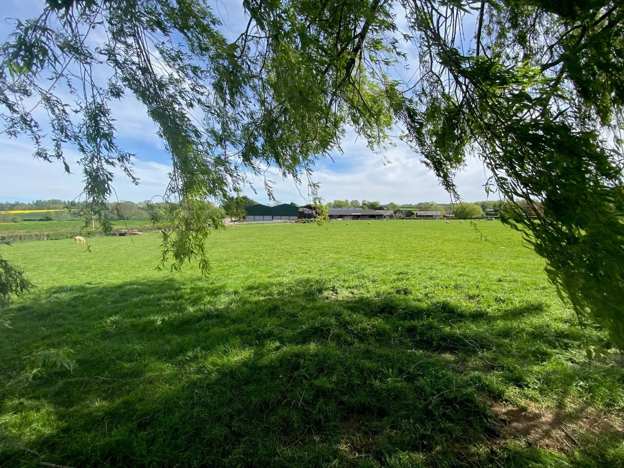 Pembridge, HR6, photo 12