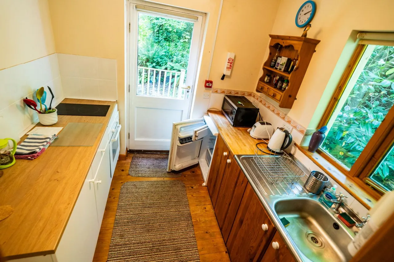 Hill House, Llansteffan, SA33, photo 27