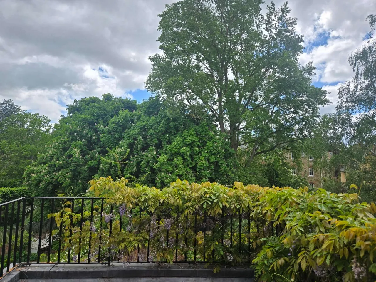Park Town, Oxford, OX2 6SJ, photo 5