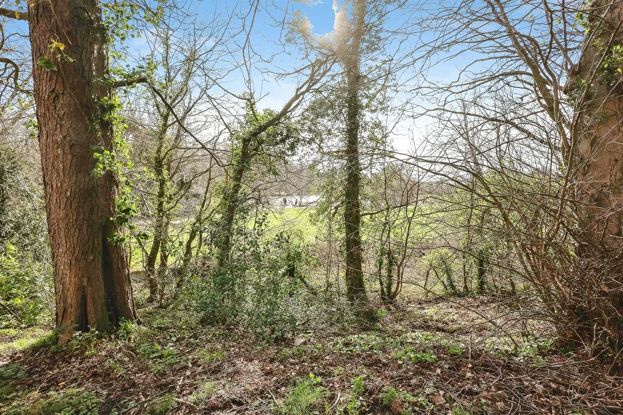 Farm Drive, Northfield, B31, photo 11