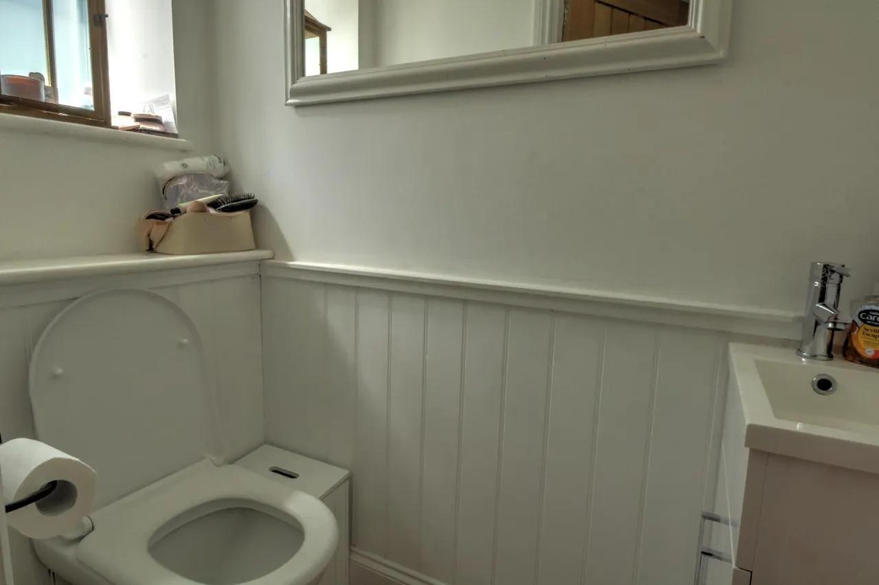 Tanyard Lane, Steyning, BN44, photo 8