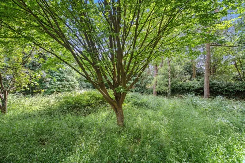 Blind Lane, Bourne End SL8 5LF, photo 20