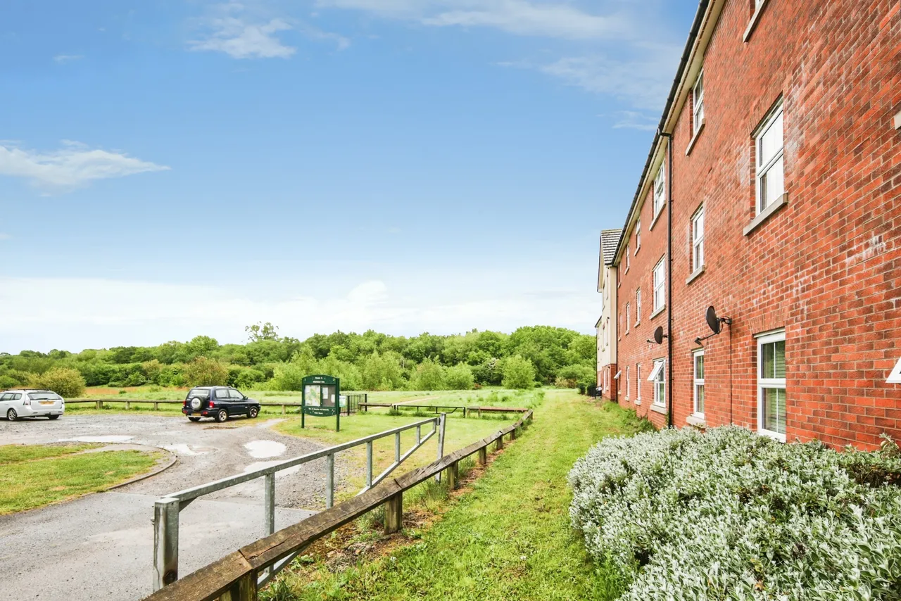 Damselfly Court, Nuneaton, photo 8
