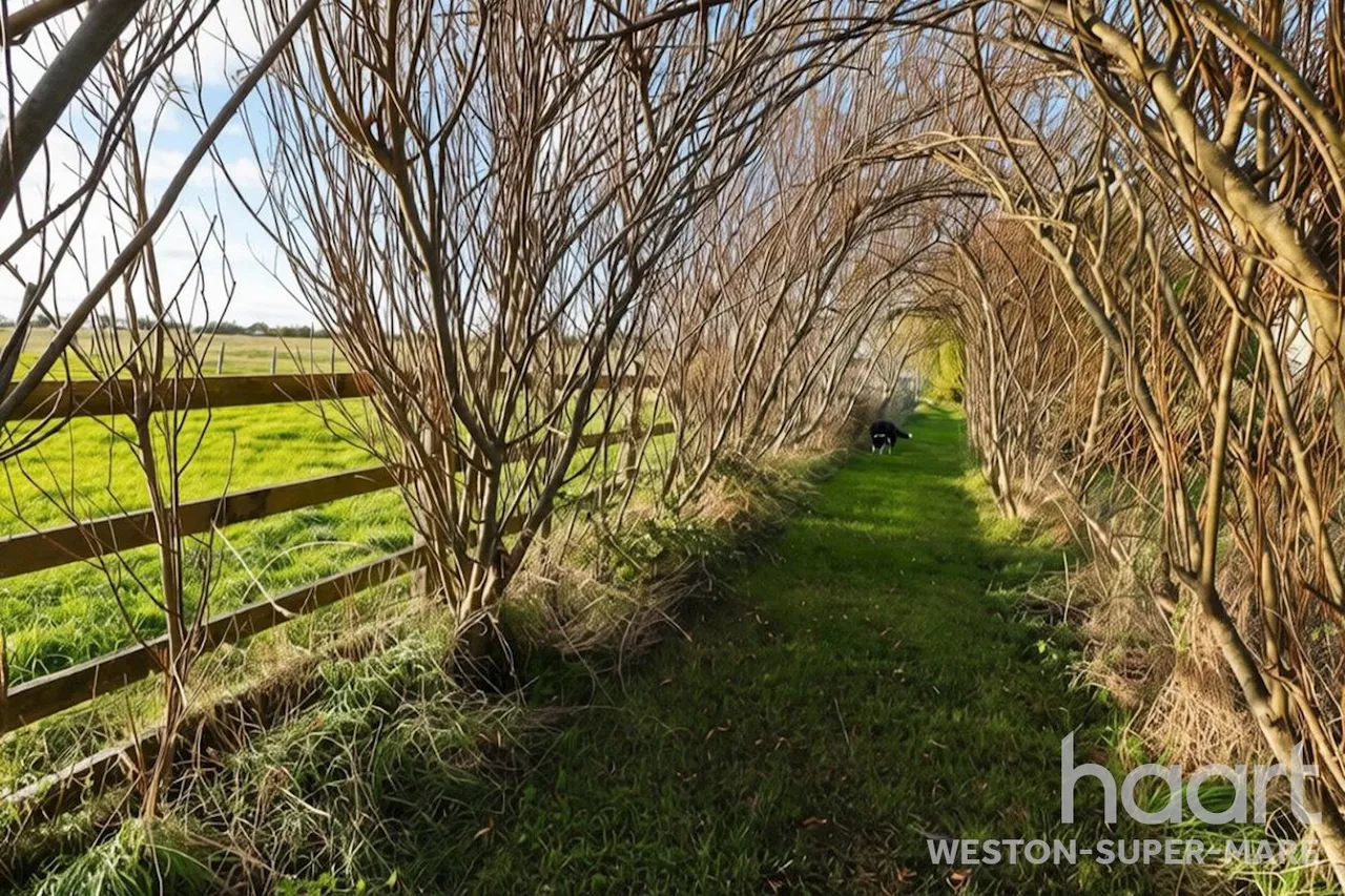 Woodspring, Weston-Super-Mare, BS22, photo 34