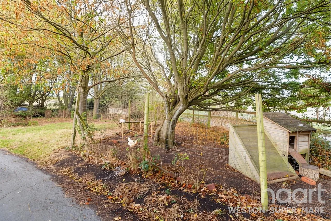 Woodspring, Weston-Super-Mare, BS22, photo 30