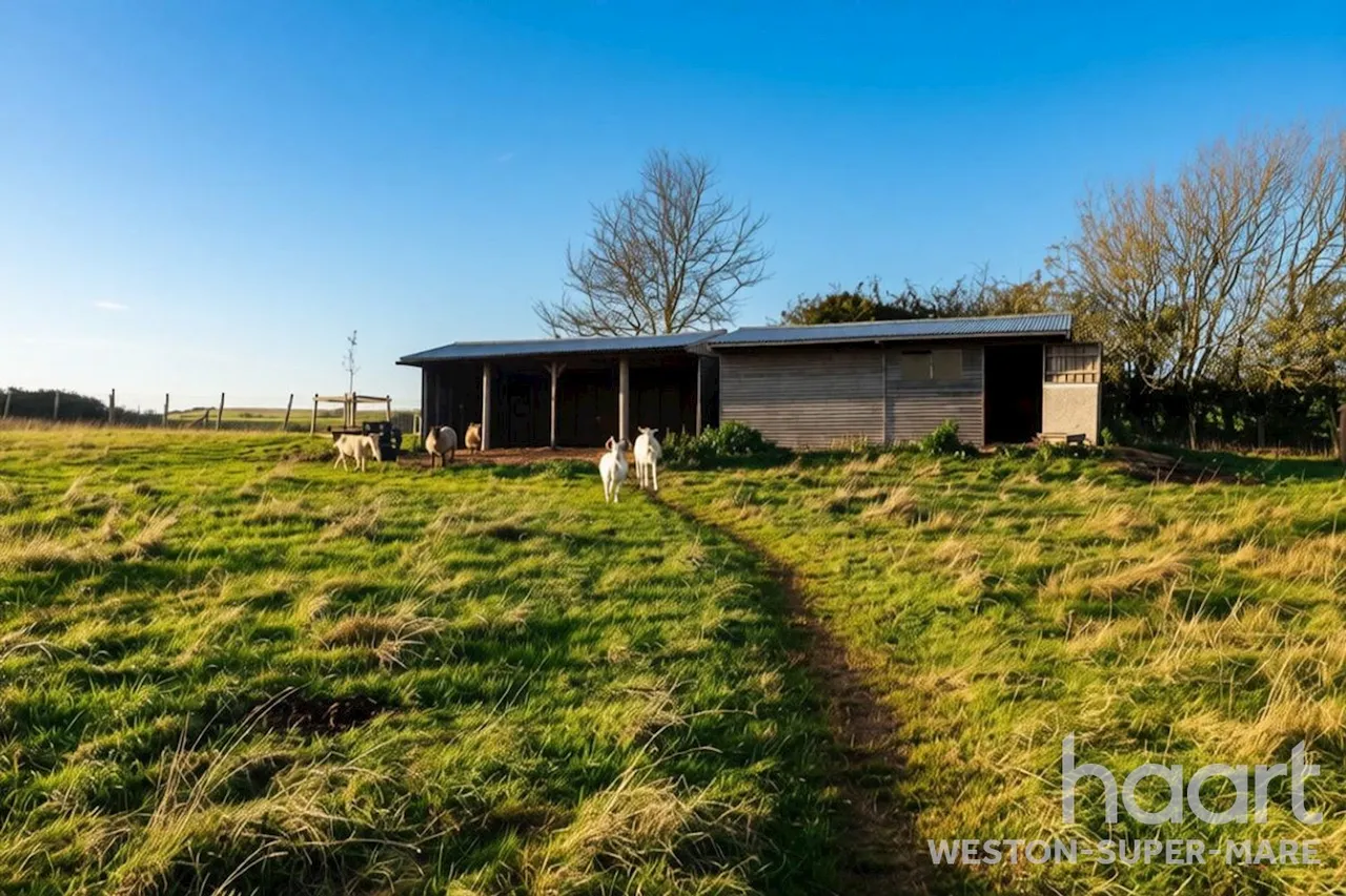 Woodspring, Weston-Super-Mare, BS22, photo 38