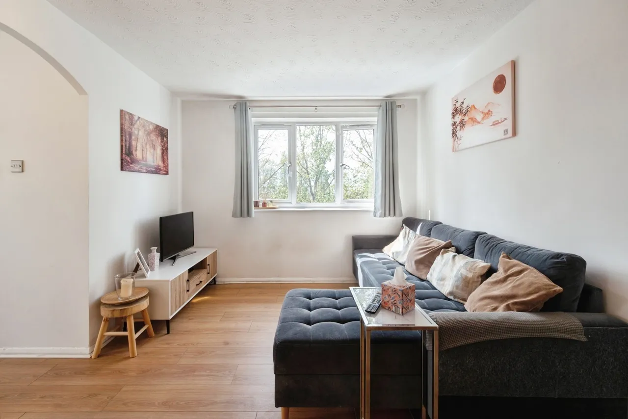 Viking Place, 145 Seymour Road, Leyton, E10, photo 5