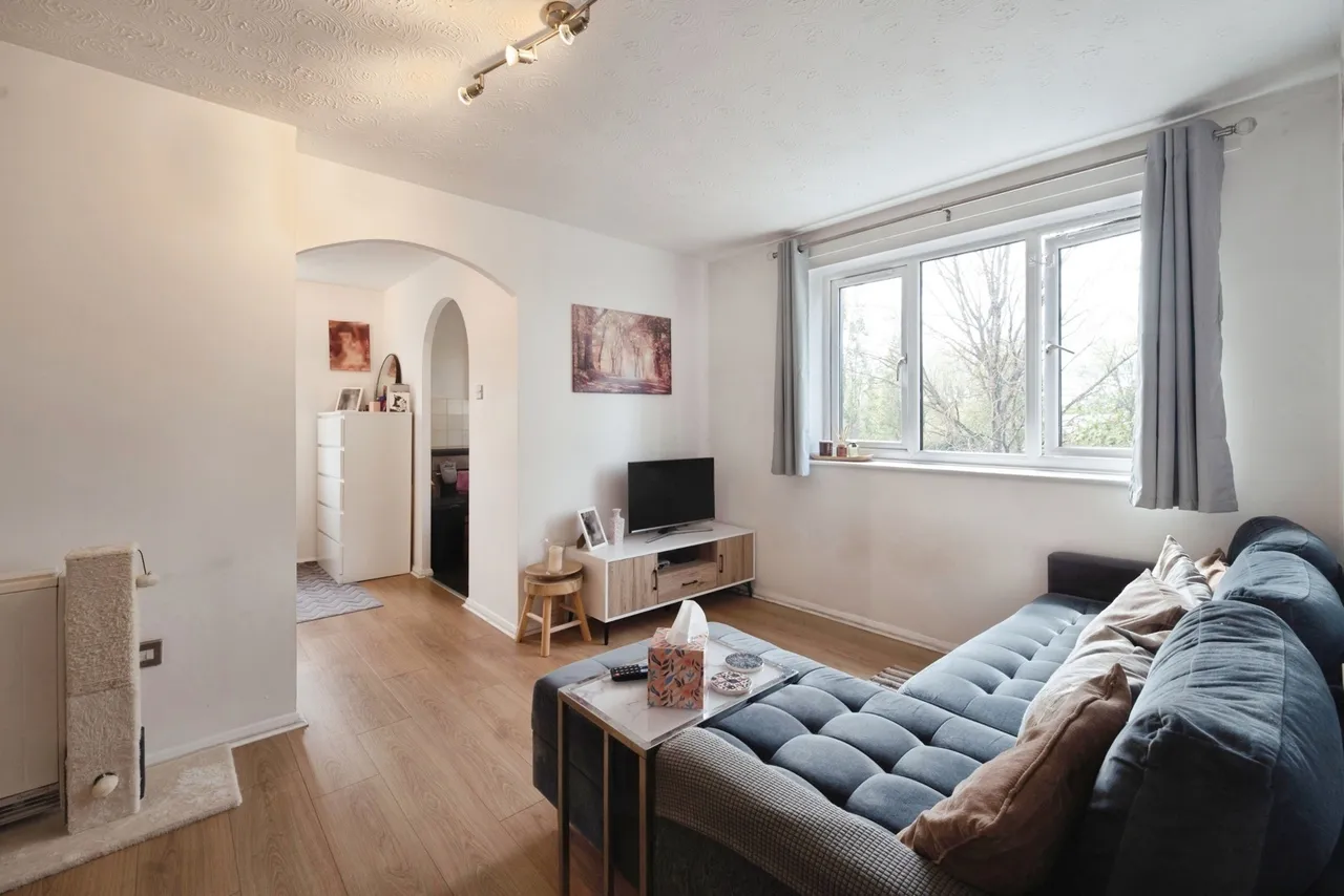 Viking Place, 145 Seymour Road, Leyton, E10, photo 4