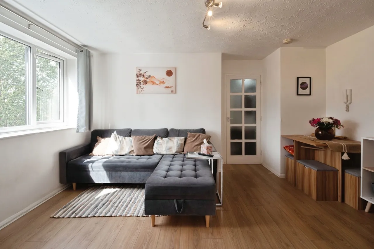 Viking Place, 145 Seymour Road, Leyton, E10, photo 3