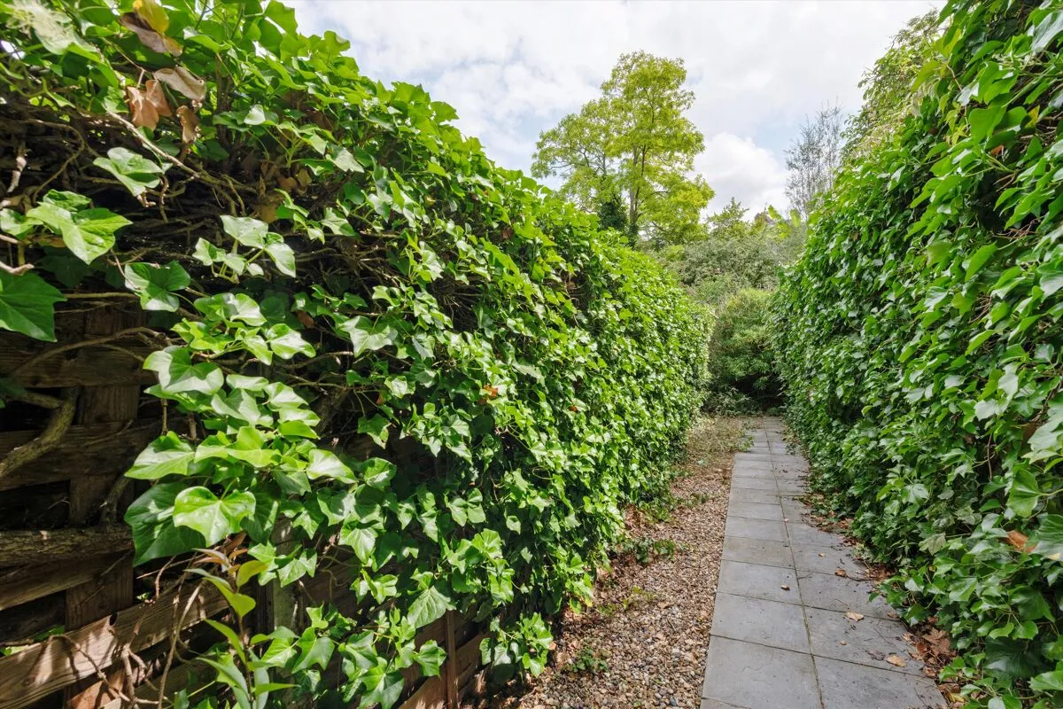 Buckland Crescent, London, NW3, photo 11