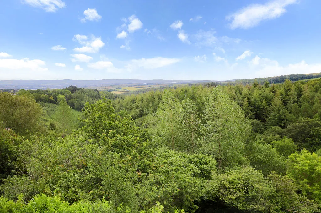 Longdown, Exeter, photo 29