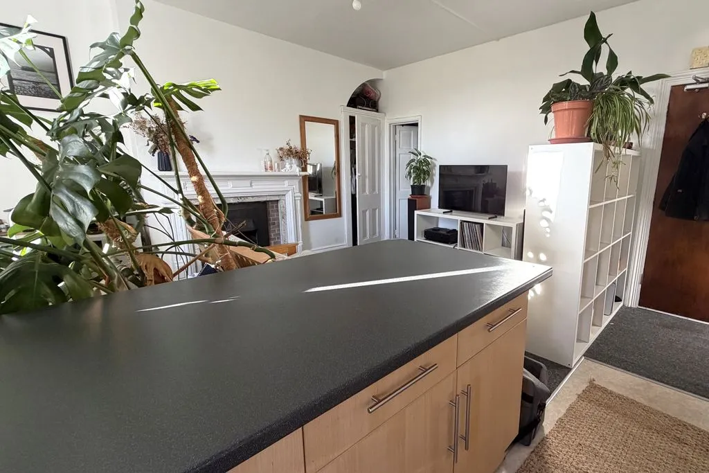 College Terrace, Brighton, BN2, photo 6