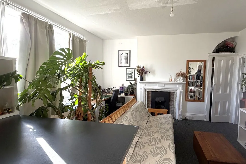College Terrace, Brighton, BN2, photo 4