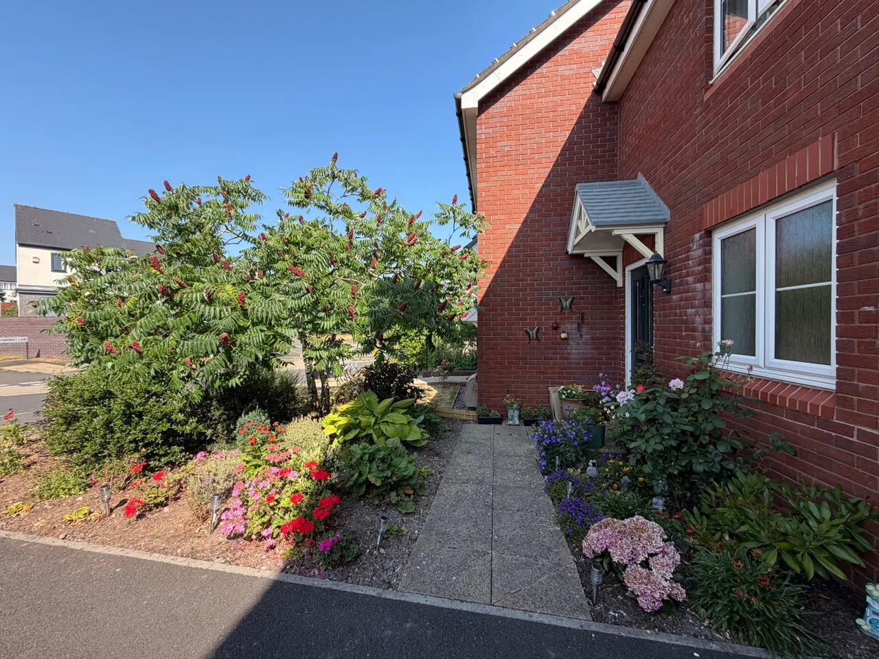 Wilkins Drive, Paignton, photo 13