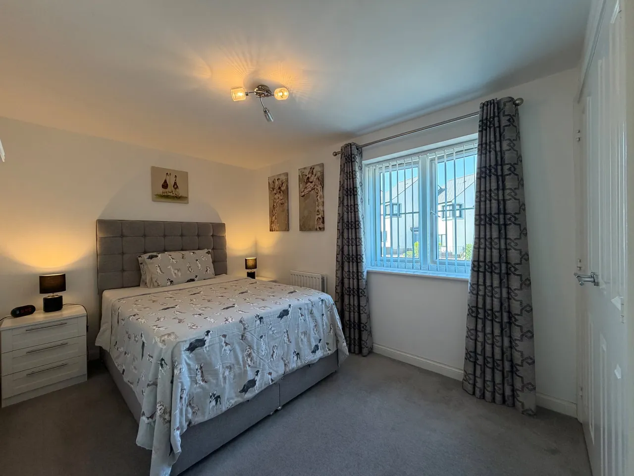 Wilkins Drive, Paignton, photo 9