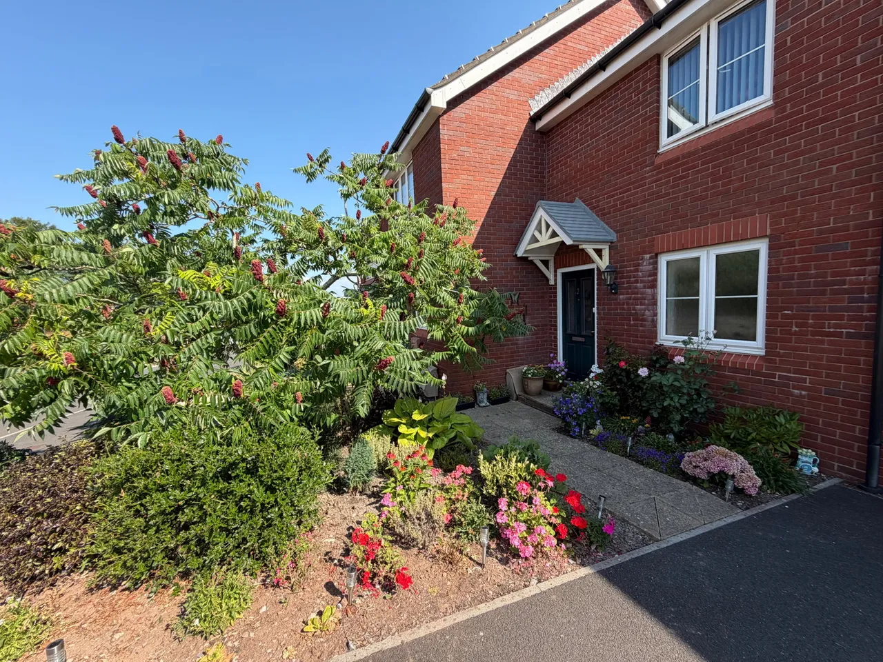 Wilkins Drive, Paignton, photo 3