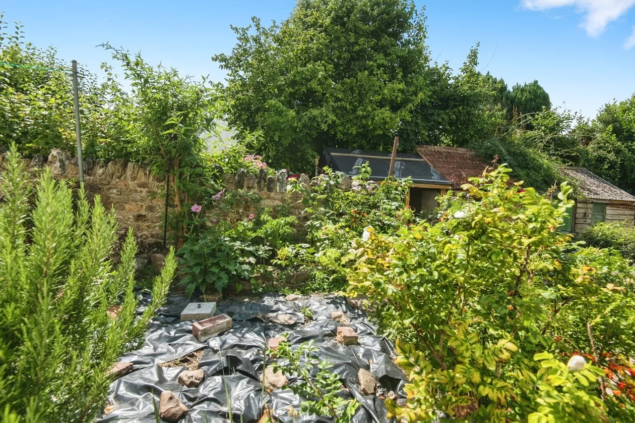 St. John Close, Honiton, EX14, photo 14