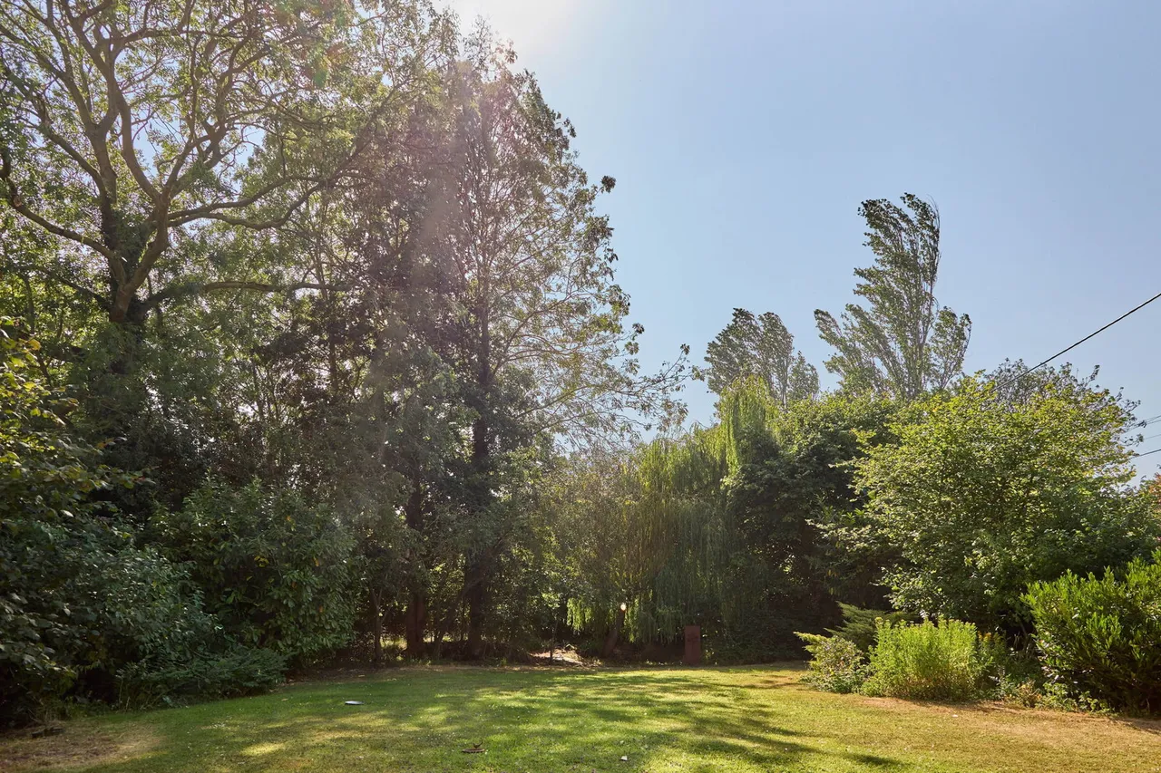 Upper Street, Gissing, IP22, photo 26