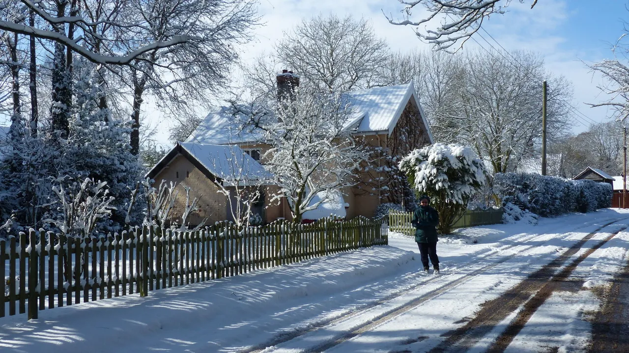 Upper Street, Gissing, IP22, photo 41