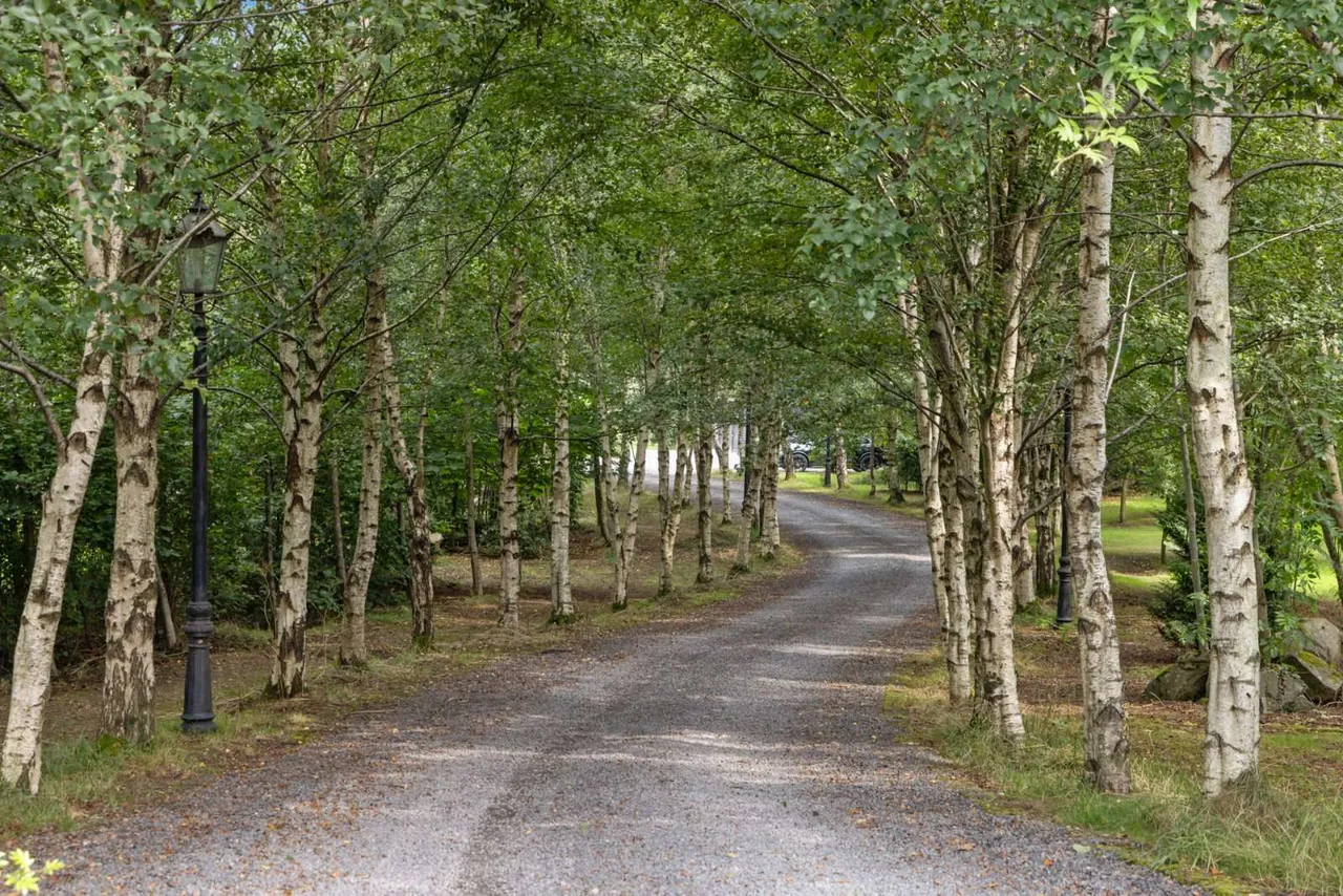 Mayfield House, Corbet Road, Banbridge, County Down, BT32 3SQ, photo 2
