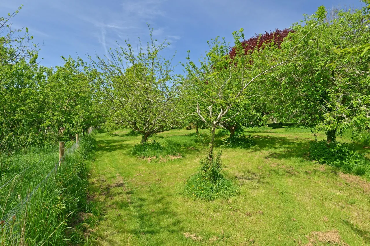 Bovey Tracey, Newton Abbot, TQ13, photo 24