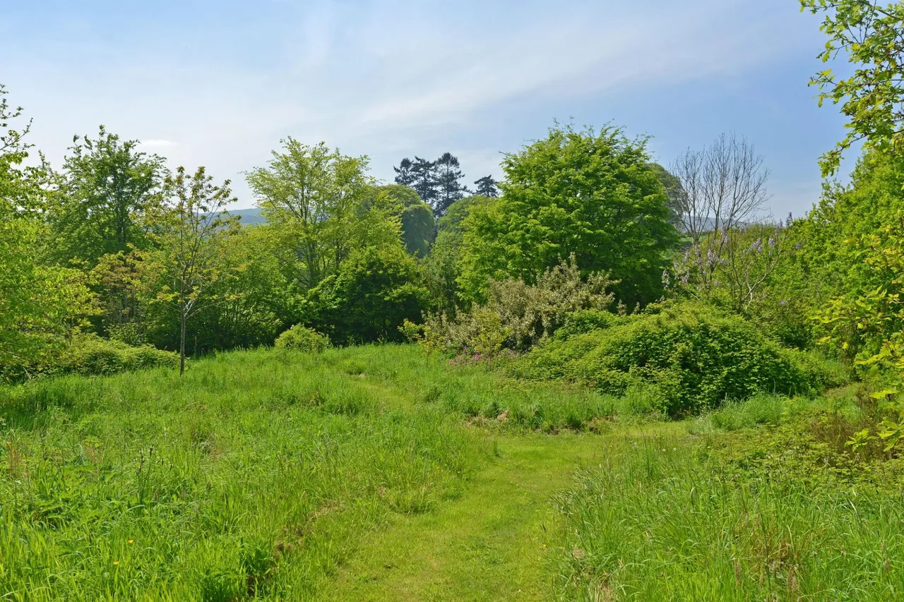Bovey Tracey, Newton Abbot, TQ13, photo 36