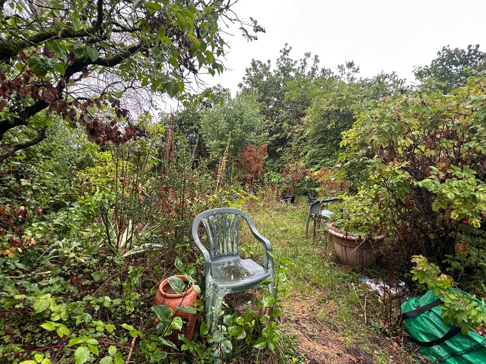 Ansford, Castle Cary, photo 14