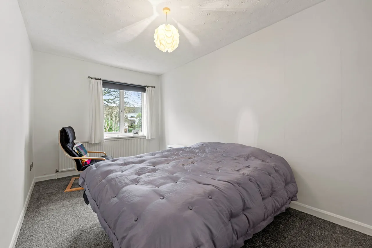 Derwen Fawr Road, Sketty, SA2, photo 15