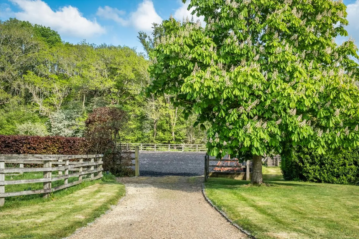 Hook House Lane, Dunsfold, GU8, photo 38