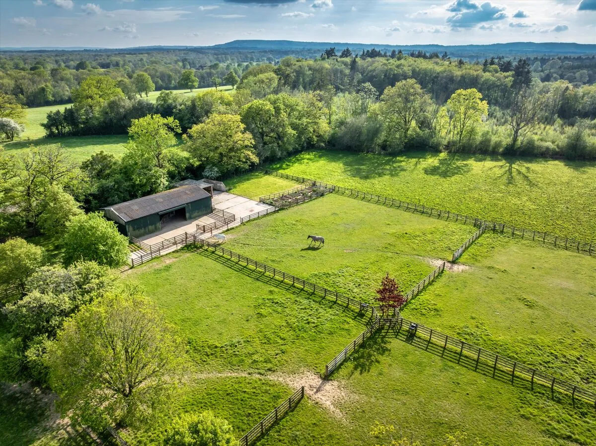 Hook House Lane, Dunsfold, GU8, photo 40