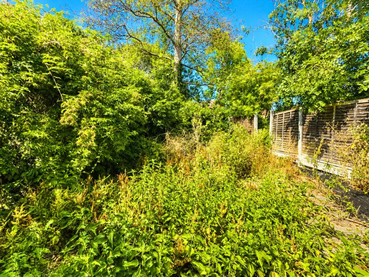 Maine Crescent, Rayleigh, SS6, photo 12