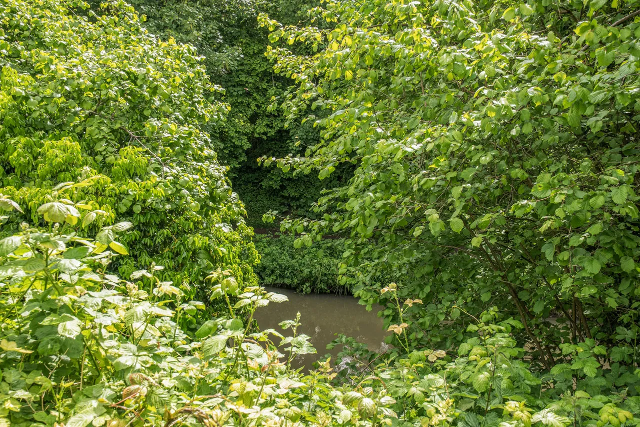 The Mews, Devizes, SN10, photo 10